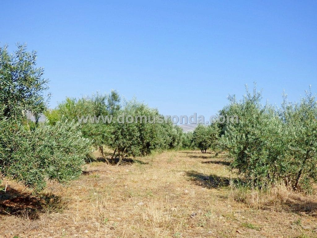 Finka/Dom wiejski na sprzedaż w Ronda - 750 000 € (Ref: 7829202)