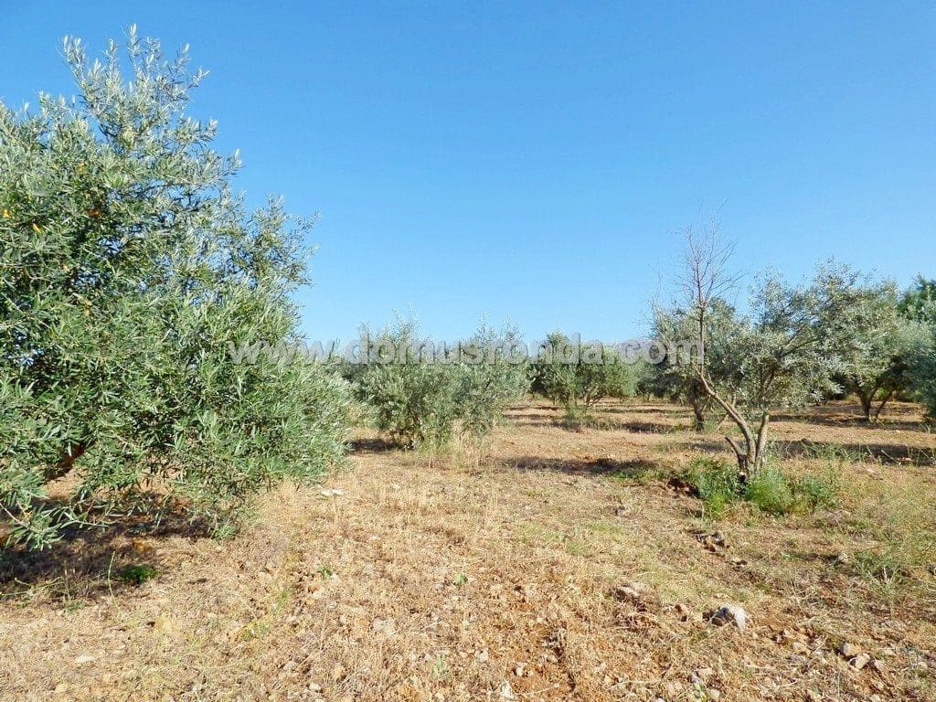 Finka/Dom wiejski na sprzedaż w Ronda - 750 000 € (Ref: 7829202)