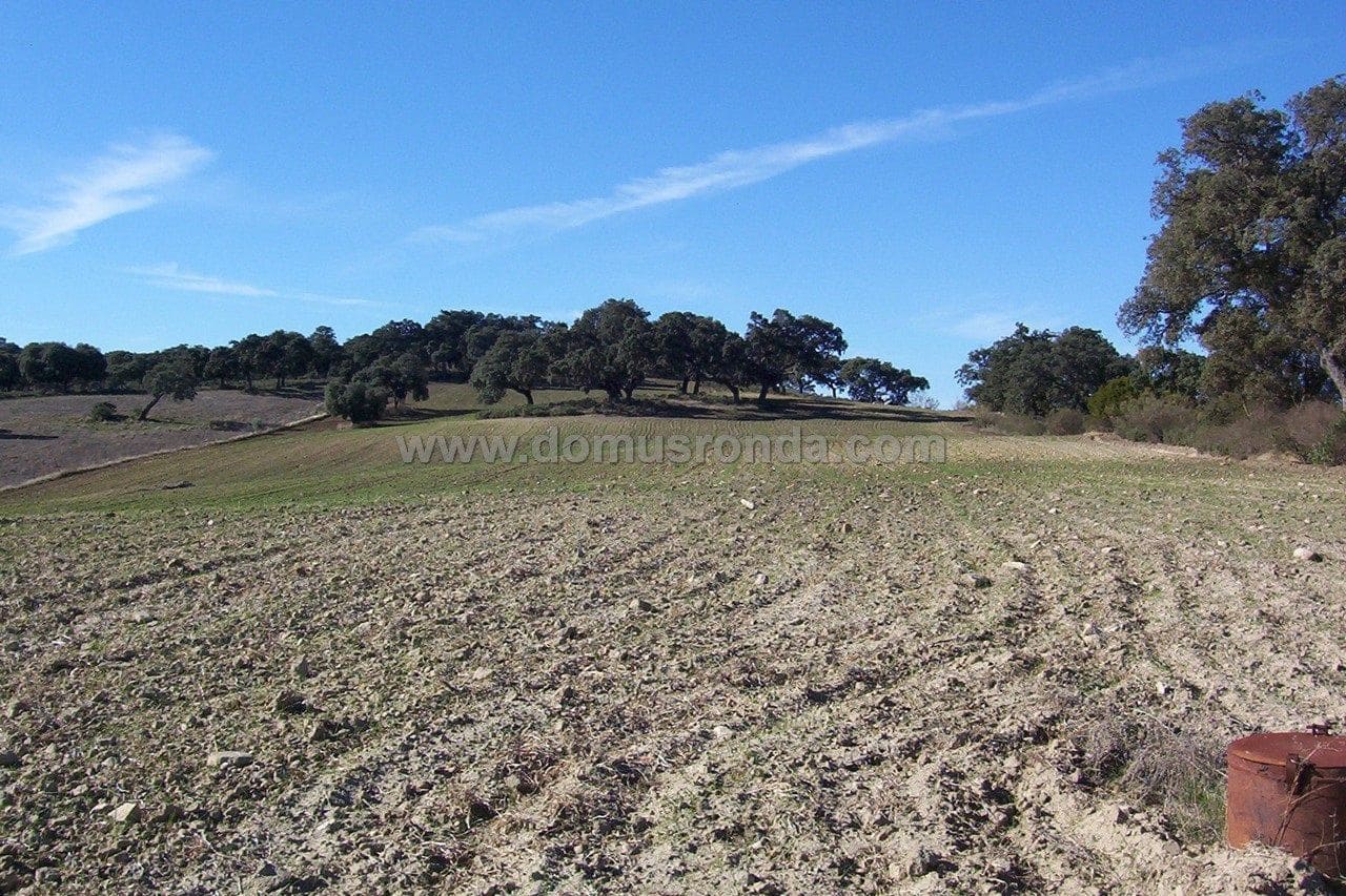 Grunde uden byggetilladelser til salg i Ronda - € 150.000 (Ref: 7980213)
