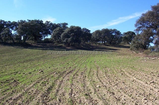 Grunde uden byggetilladelser til salg i Ronda - € 150.000 (Ref: 7980213)