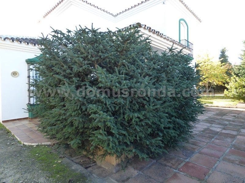 4 soverom Villa til salgs i Ronda med svømmebasseng garasje - € 475 000 (Ref: 8123047)