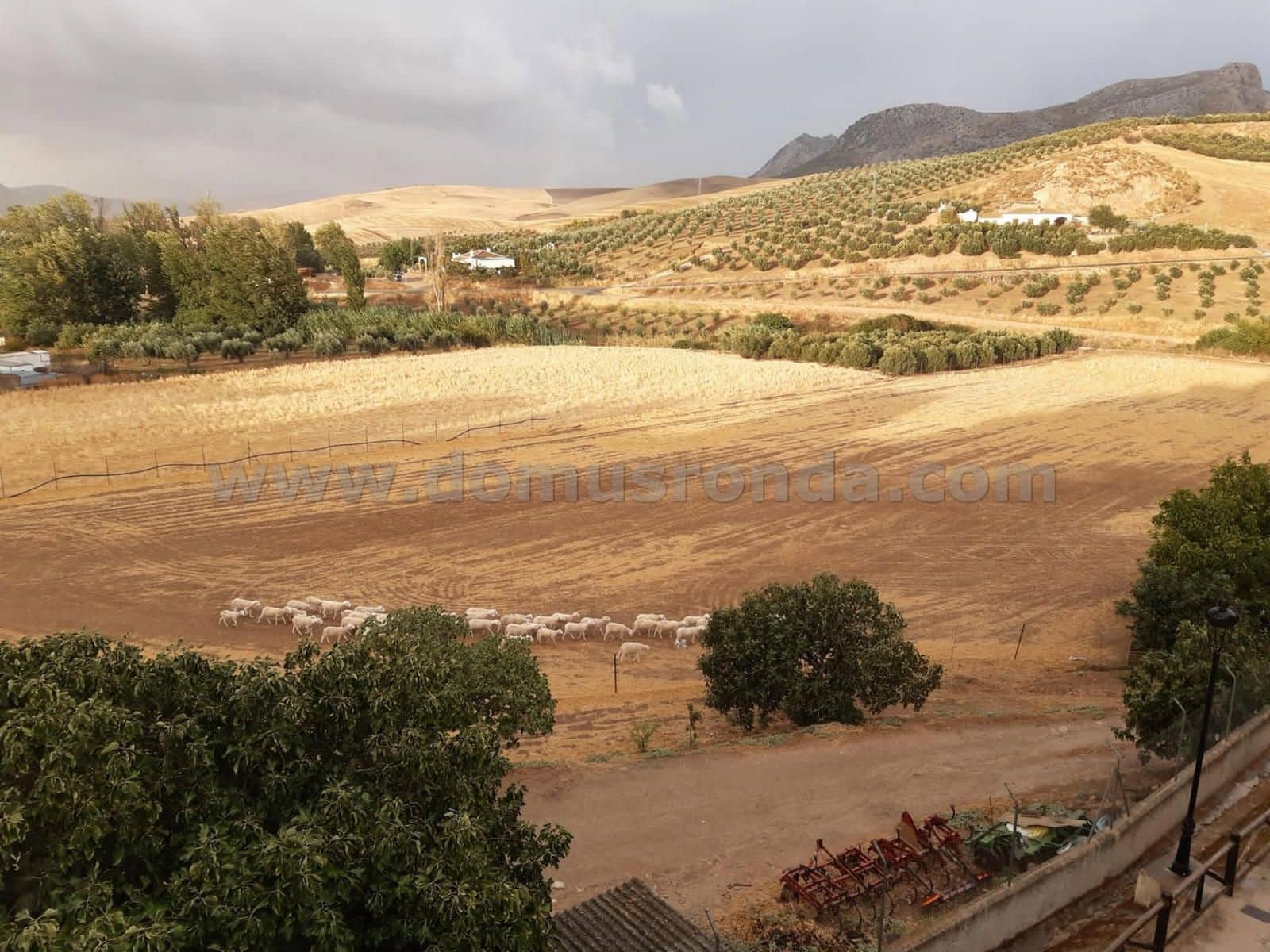 2 soveværelse Villa til salg i Serrato - € 149.000 (Ref: 8130859)