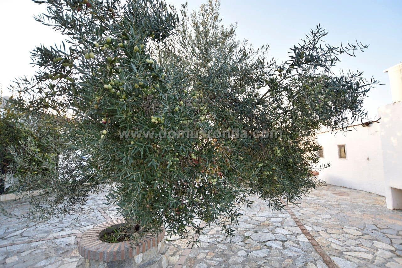 5 slaapkamer Villa te koop in Ronda - € 299.000 (Ref: 8207846)