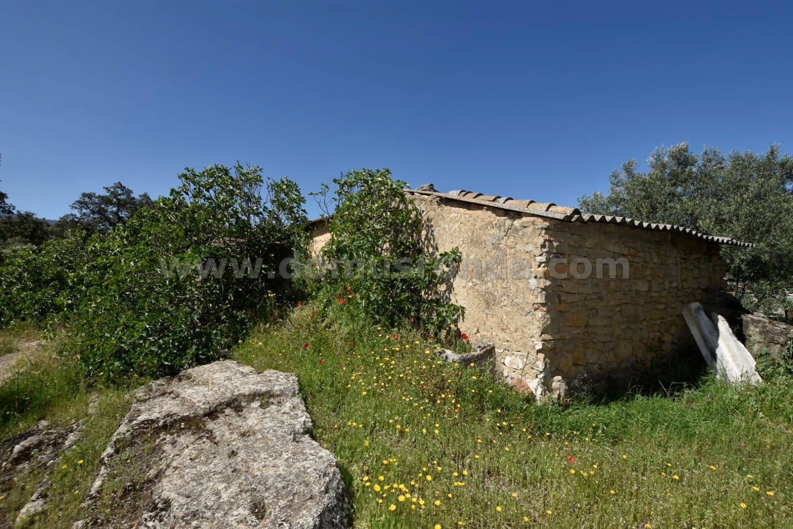 Villa til salg i Ronda - € 79.000 (Ref: 8218050)