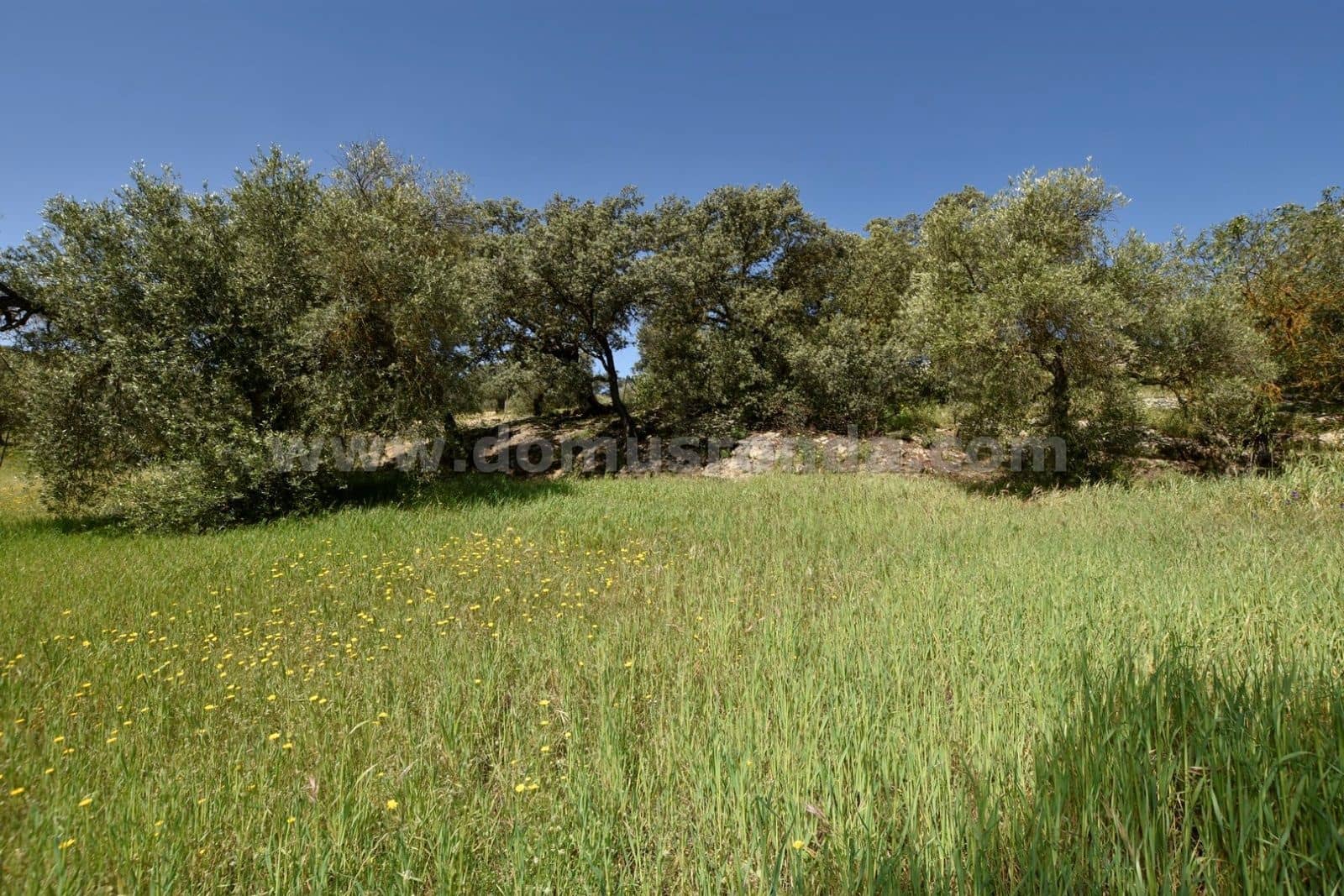 Villa til salg i Ronda - € 79.000 (Ref: 8218050)