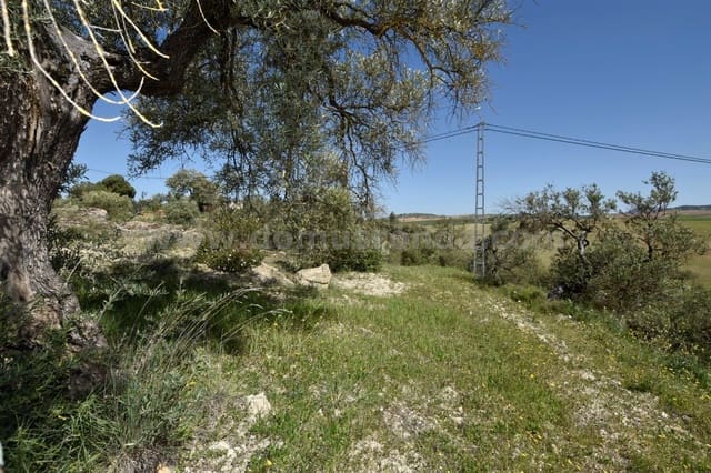 Villa til salg i Ronda - € 79.000 (Ref: 8218050)