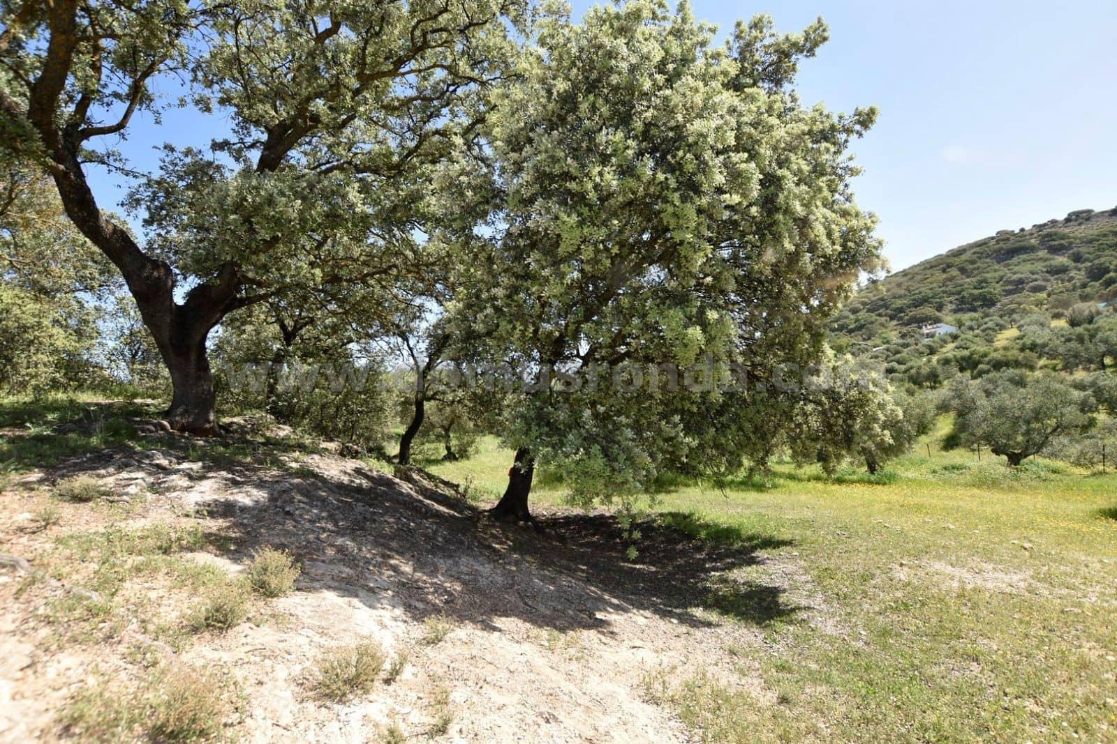 Villa til salg i Ronda - € 79.000 (Ref: 8218050)