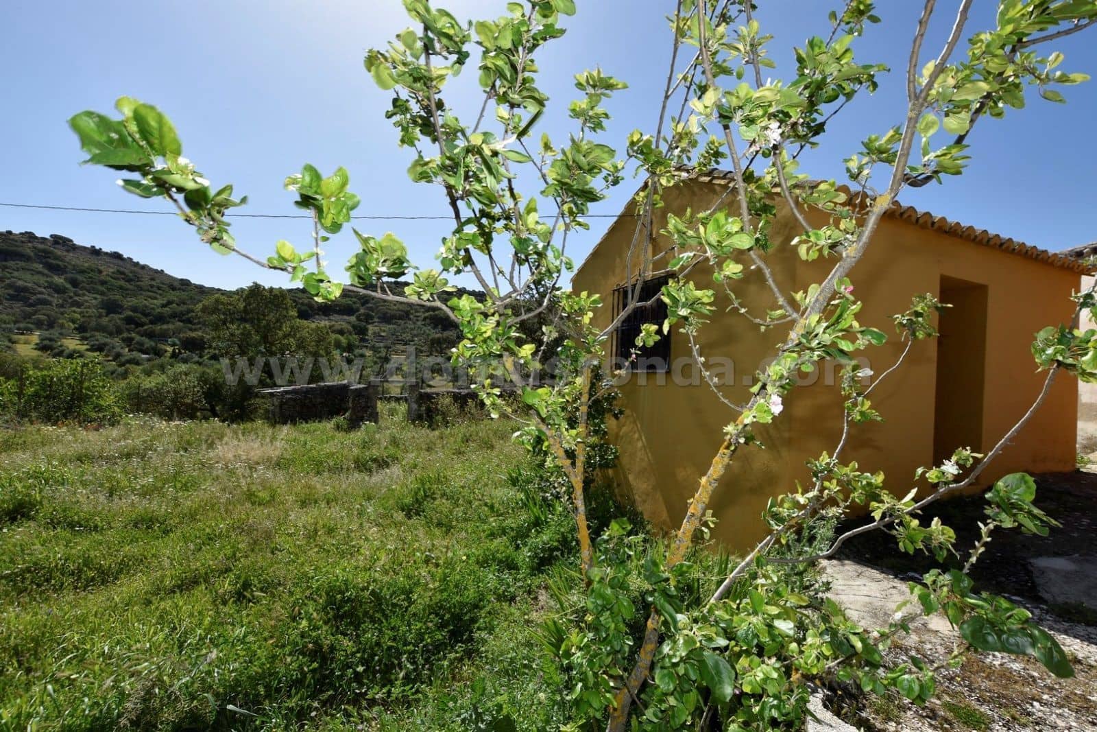 Villa til salg i Ronda - € 79.000 (Ref: 8218050)