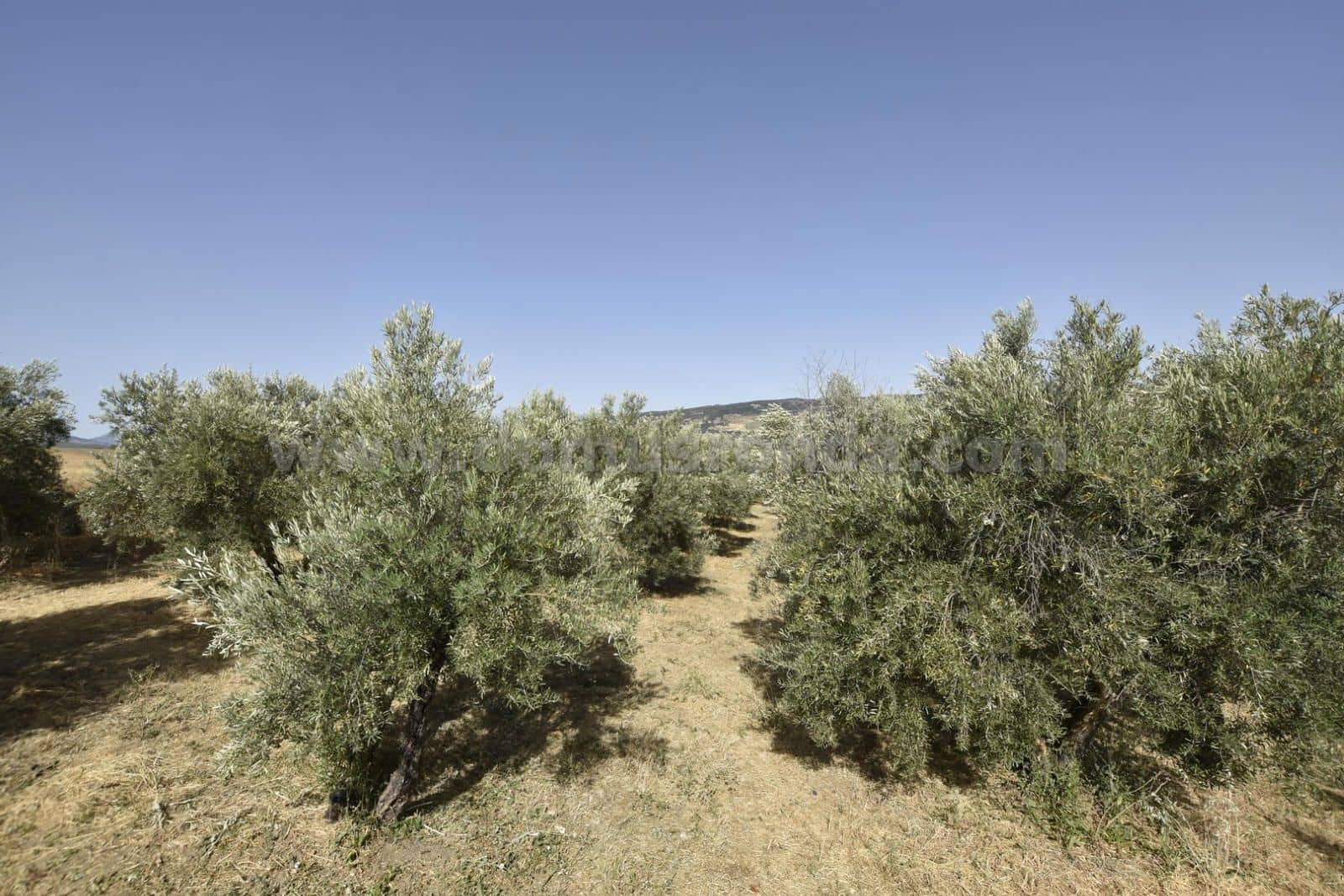 6 soverom Villa til salgs i Arriate med garasje - € 430 000 (Ref: 8515048)