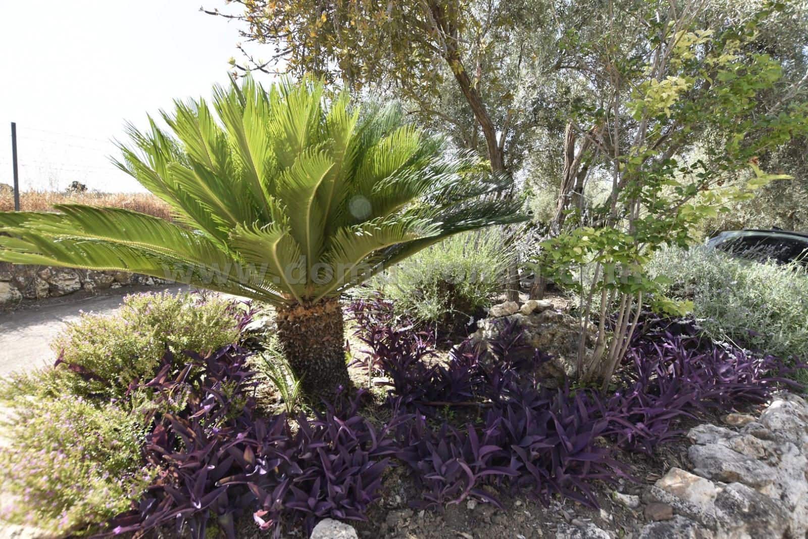 6 soverom Villa til salgs i Arriate med garasje - € 430 000 (Ref: 8515048)