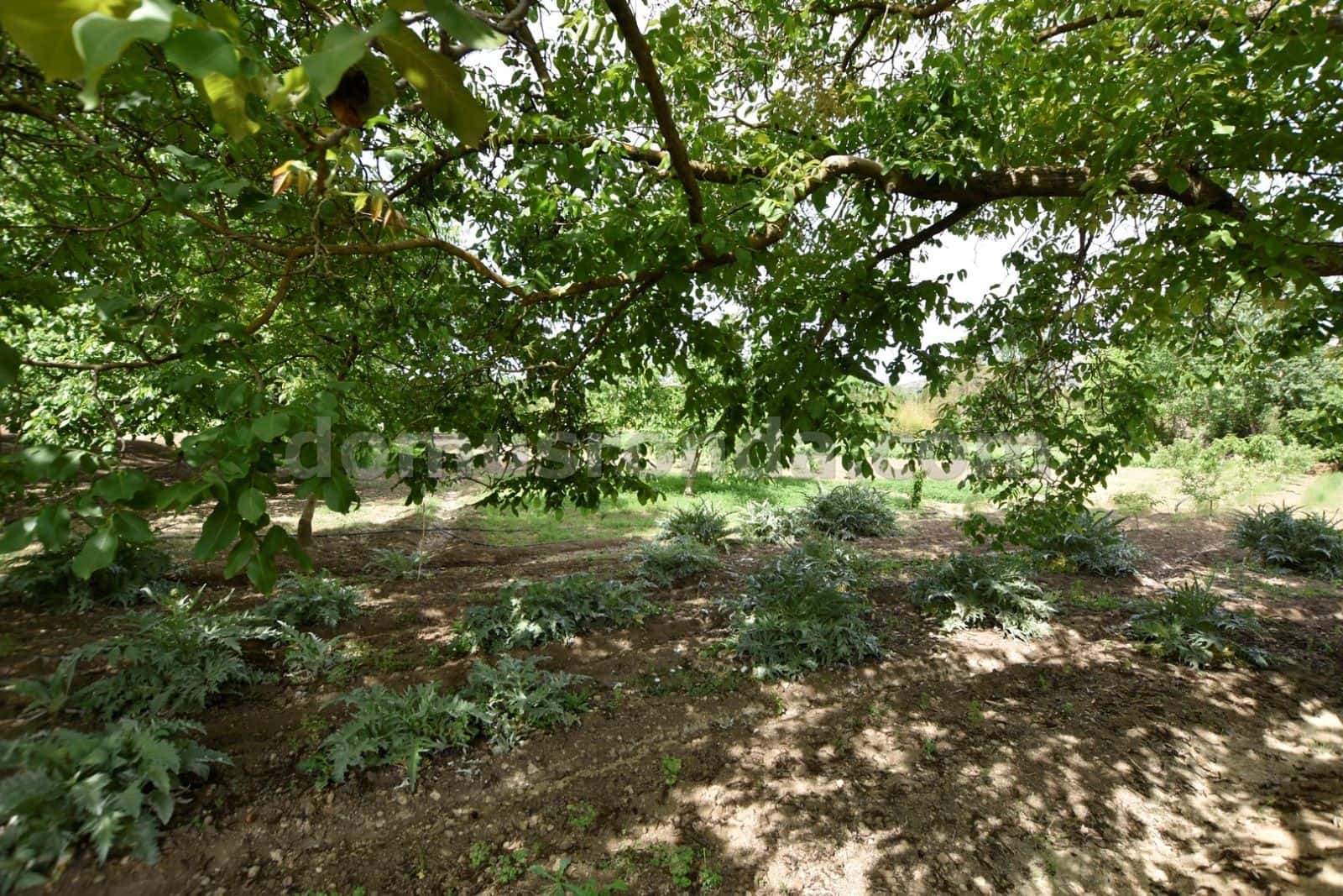 5 slaapkamer Villa te koop in Ronda met zwembad - € 360.000 (Ref: 8584973)