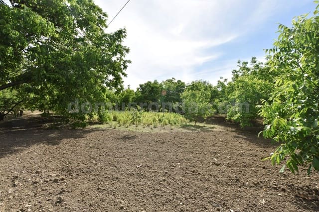 5 slaapkamer Villa te koop in Ronda met zwembad - € 360.000 (Ref: 8584973)