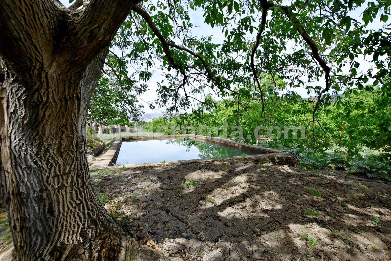 5 slaapkamer Villa te koop in Ronda met zwembad - € 360.000 (Ref: 8584973)