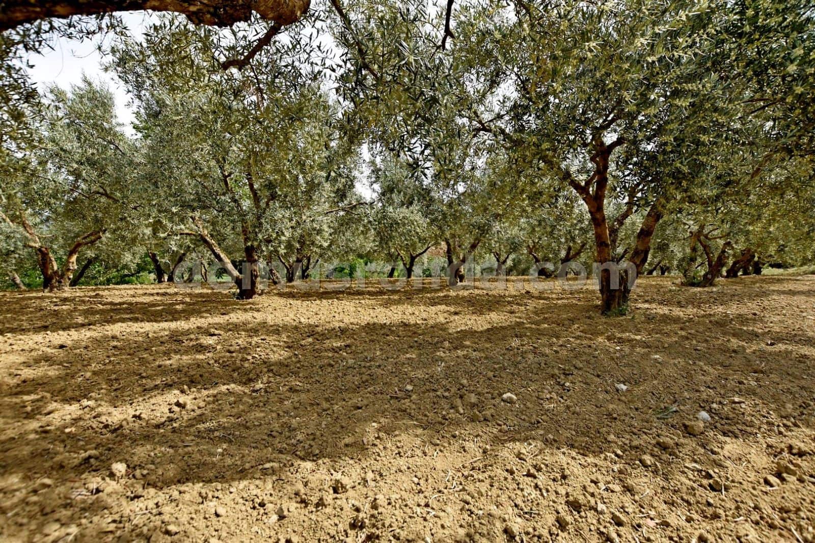 5 slaapkamer Villa te koop in Ronda met zwembad - € 360.000 (Ref: 8584973)