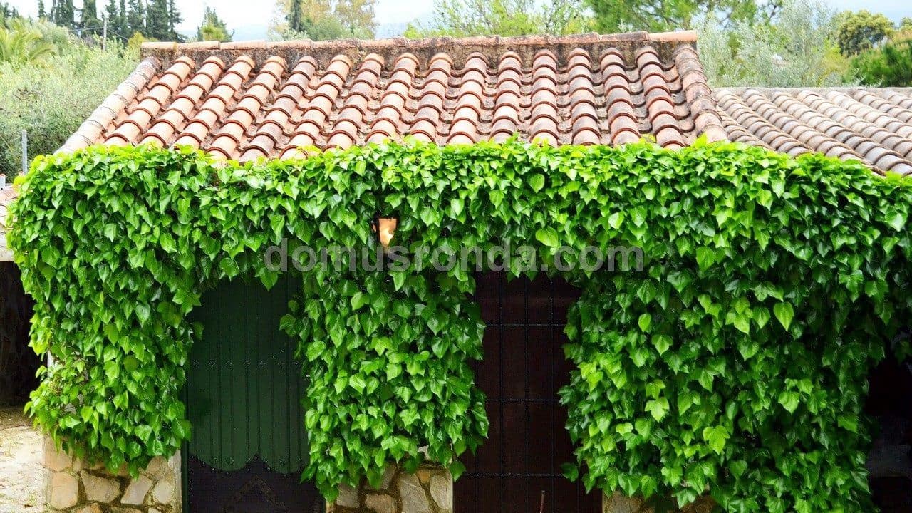 4 bedroom Villa for sale in Ronda with pool € 750,000 (Ref 8586932)