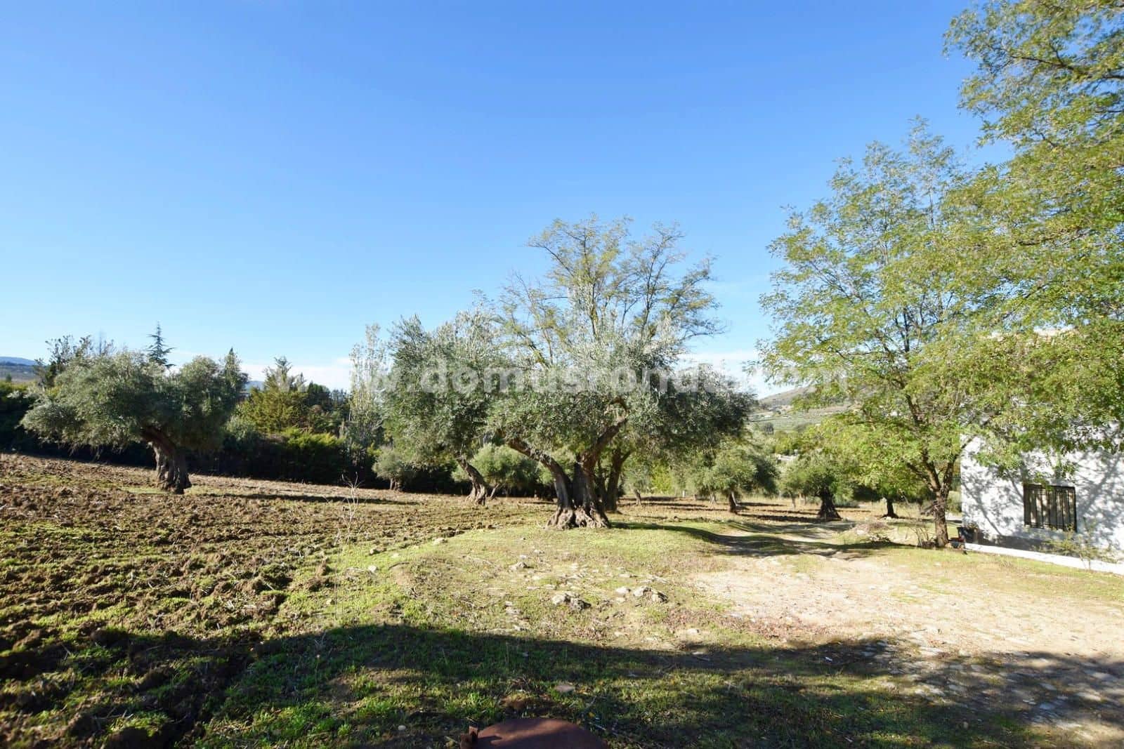 3 soveværelse Villa til salg i Ronda - € 300.000 (Ref: 8594460)