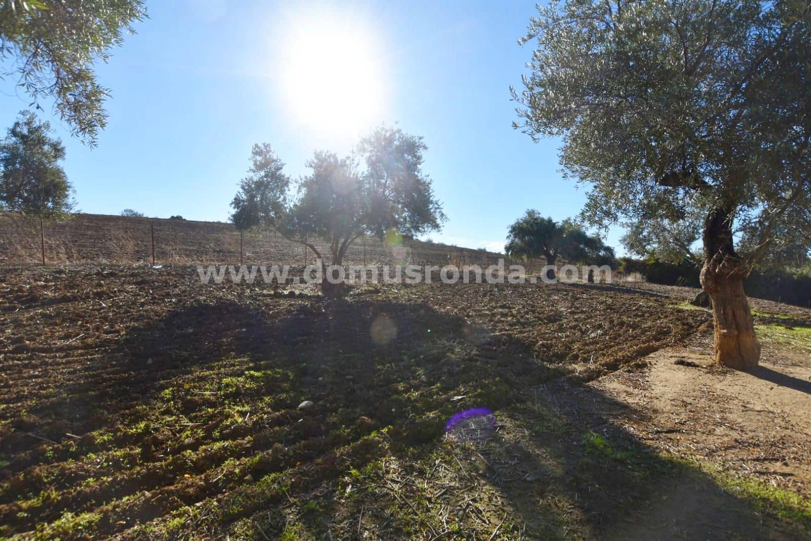 3 soveværelse Villa til salg i Ronda - € 300.000 (Ref: 8594460)