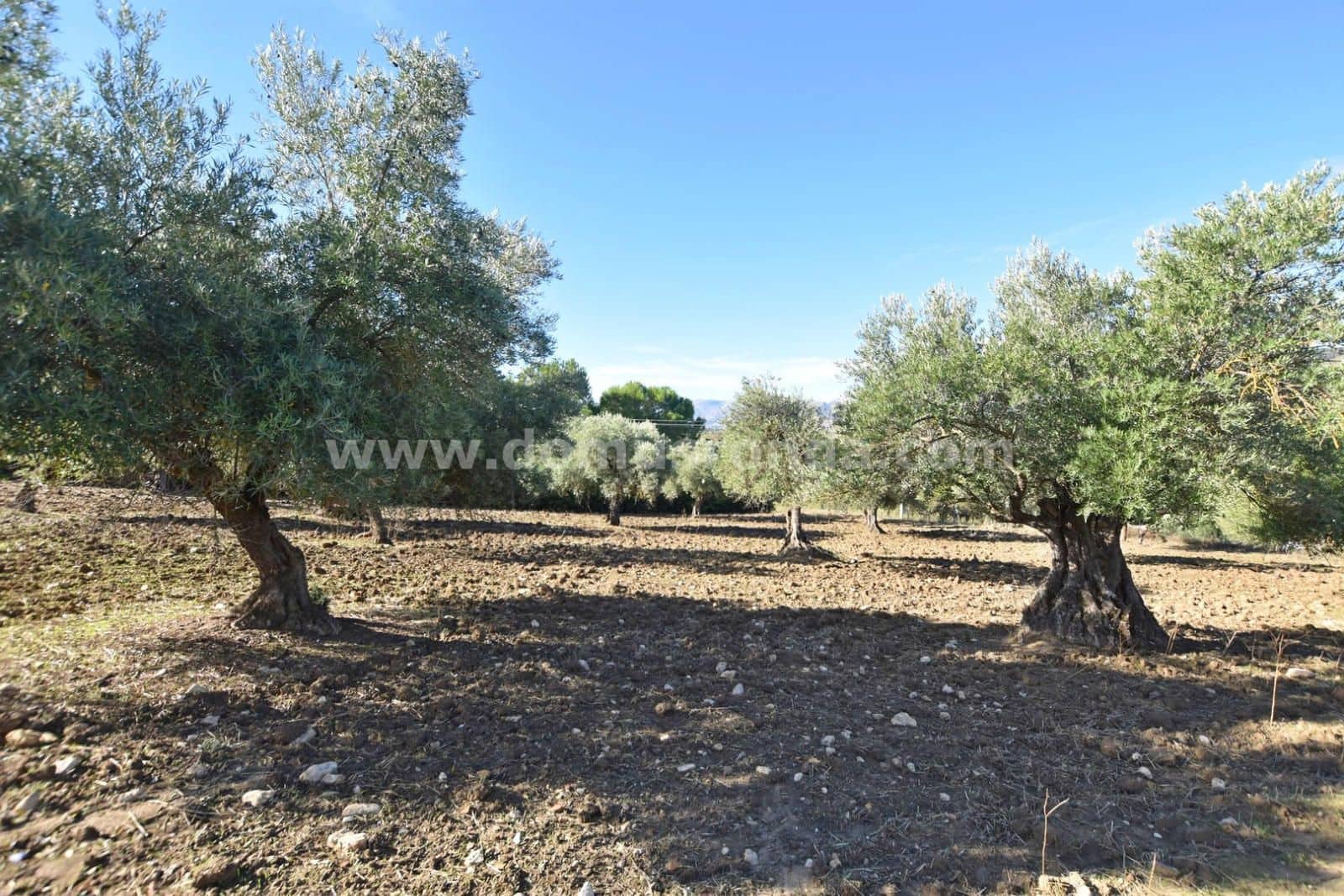 3 soveværelse Villa til salg i Ronda - € 300.000 (Ref: 8594460)