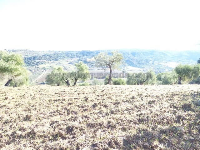 Ubebygd land til salgs i Ronda - € 25 000 (Ref: 8700123)