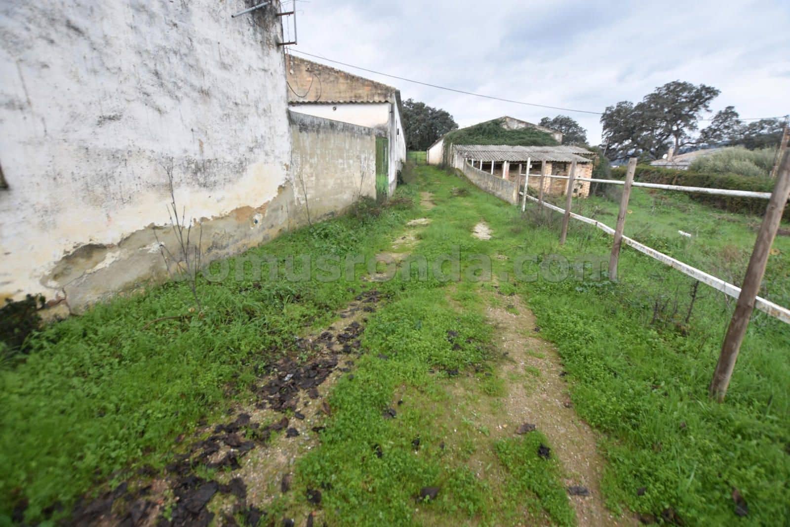 Finca/Casa Rural de 10 habitaciones en Ronda en venta con piscina - 750.000 € (Ref: 8754787)
