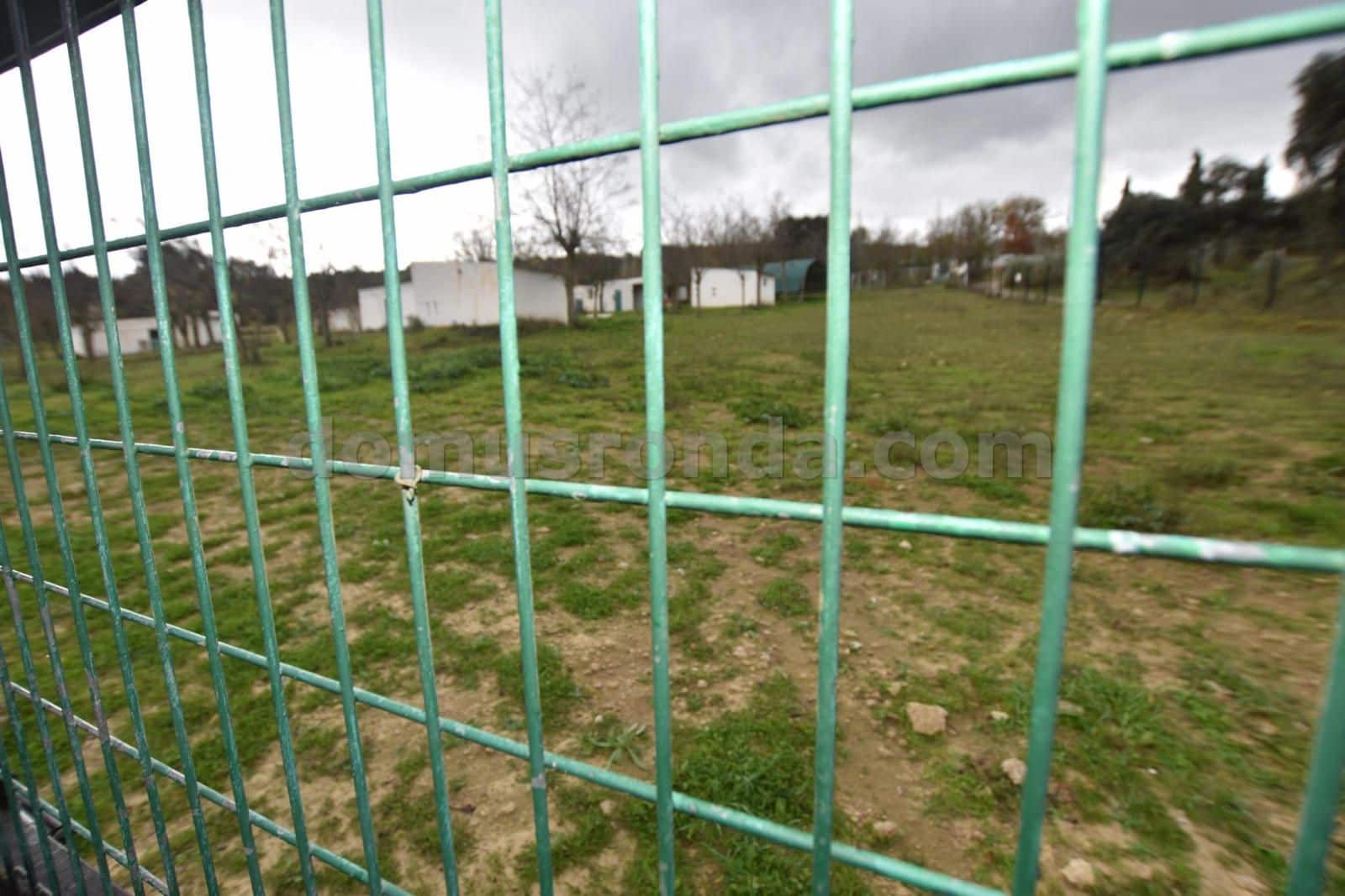 Finca/Casa Rural de 10 habitaciones en Ronda en venta con piscina - 750.000 € (Ref: 8754787)