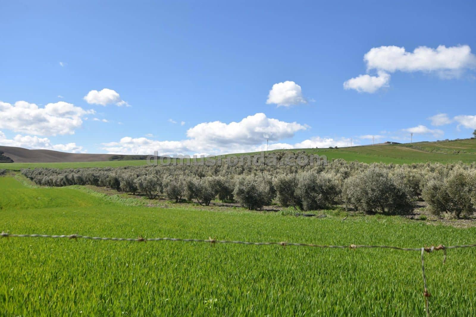 5 soverom Finca/Herregård til salgs i Ronda med svømmebasseng garasje - € 1 000 000 (Ref: 8904787)