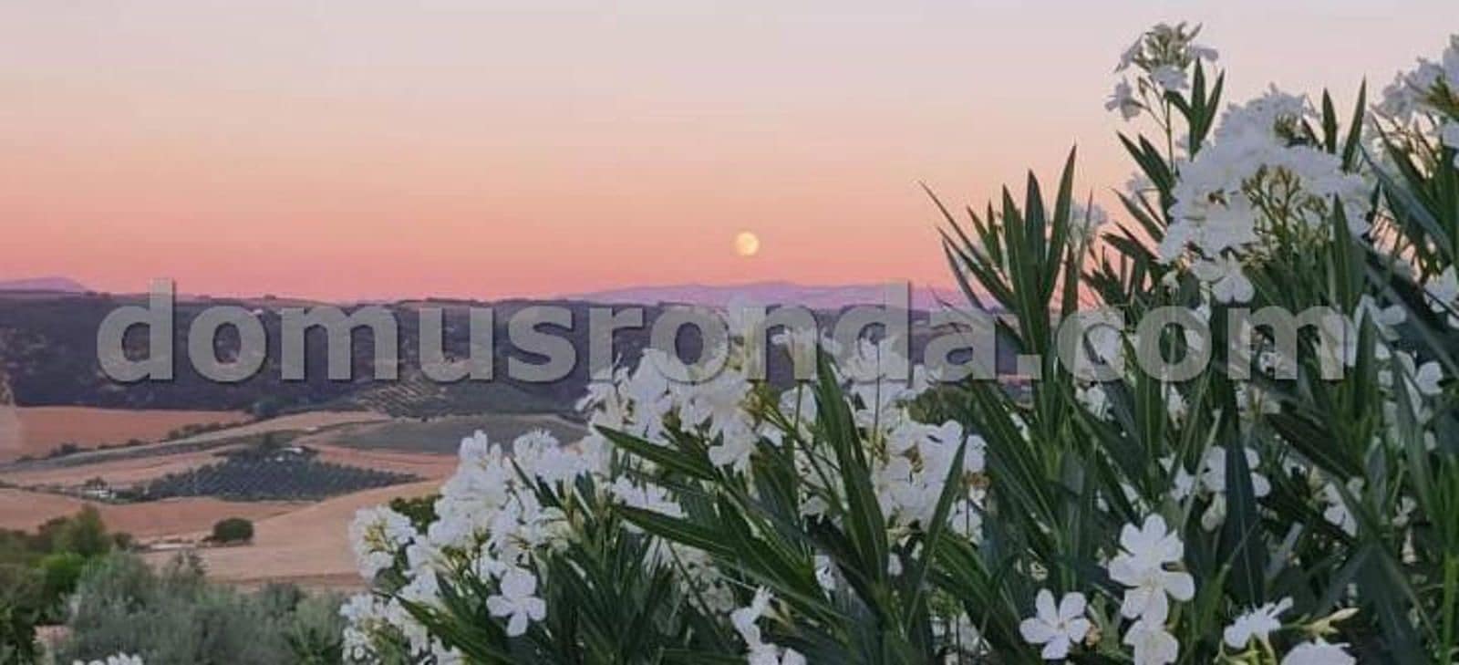 5 soverom Finca/Herregård til salgs i Ronda med svømmebasseng garasje - € 1 000 000 (Ref: 8904787)