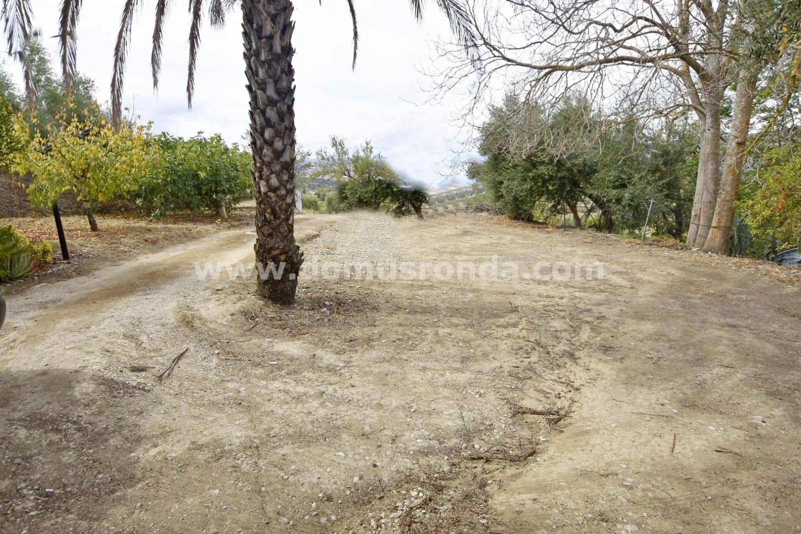 3 slaapkamer Villa te koop in Ronda met zwembad garage - € 260.000 (Ref: 8906992)