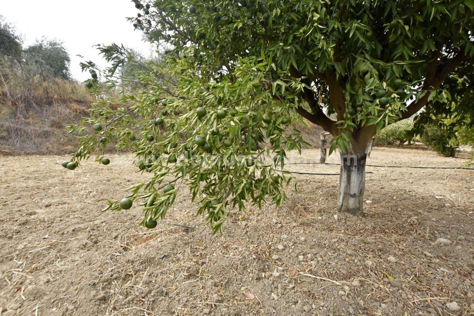 3 slaapkamer Villa te koop in Ronda met zwembad garage - € 260.000 (Ref: 8906992)