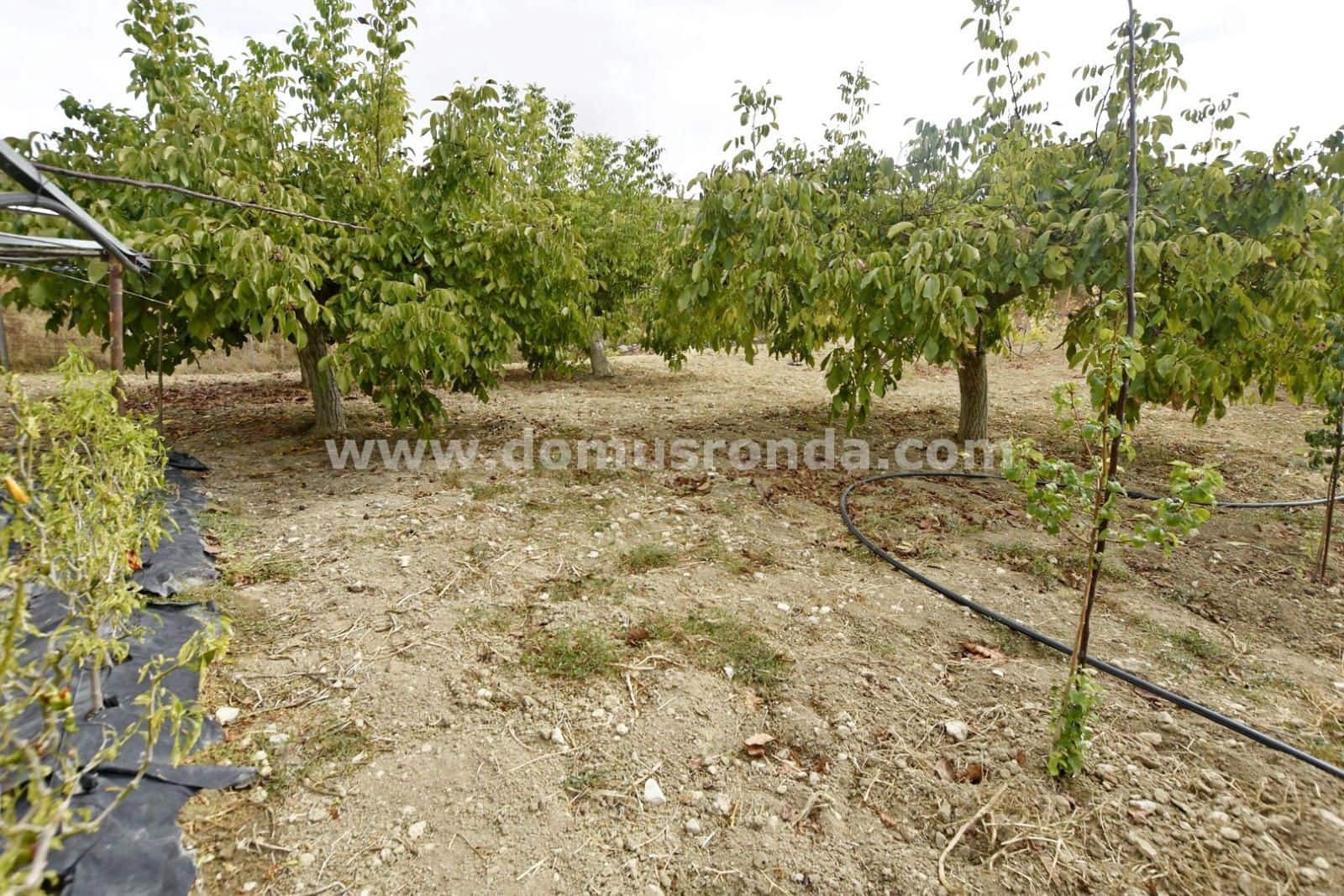 3 slaapkamer Villa te koop in Ronda met zwembad garage - € 260.000 (Ref: 8906992)