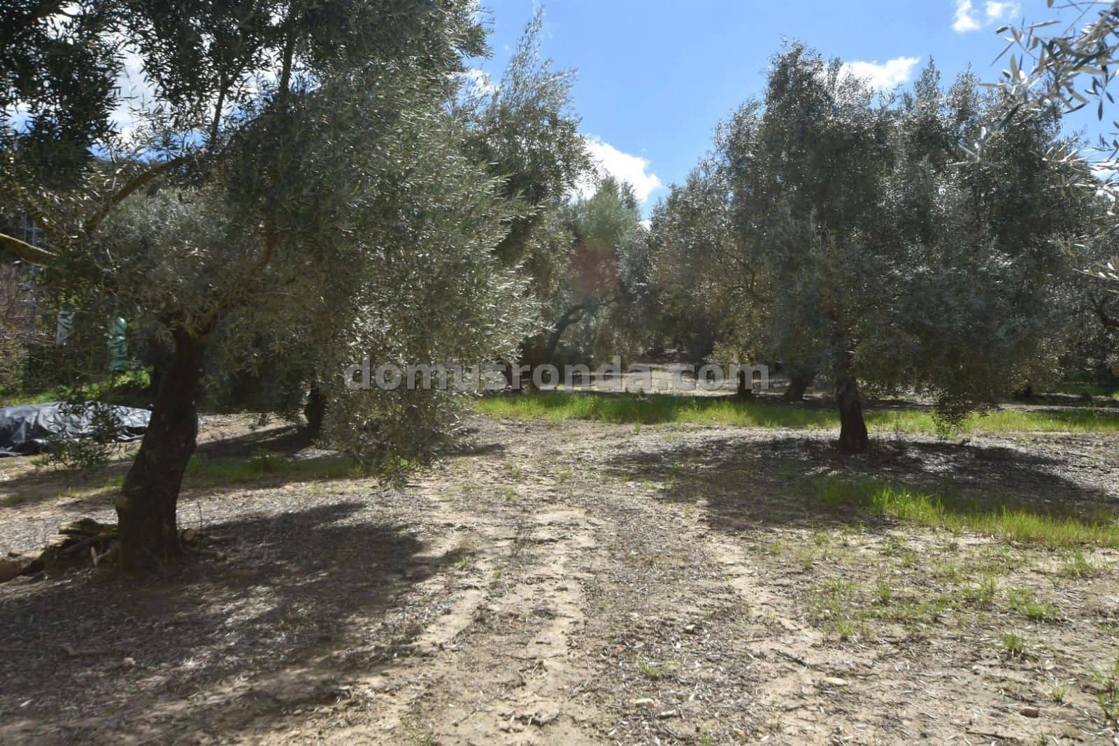 3 soveværelse Finca/Landehus til salg i Ronda med swimmingpool garage - € 395.000 (Ref: 8923215)