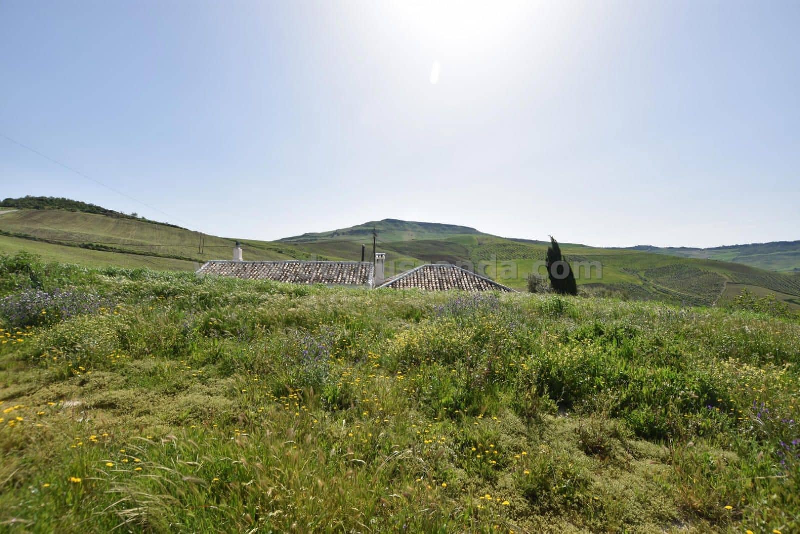 3 soveværelse Finca/Landehus til salg i Montecorto - € 280.000 (Ref: 8949899)