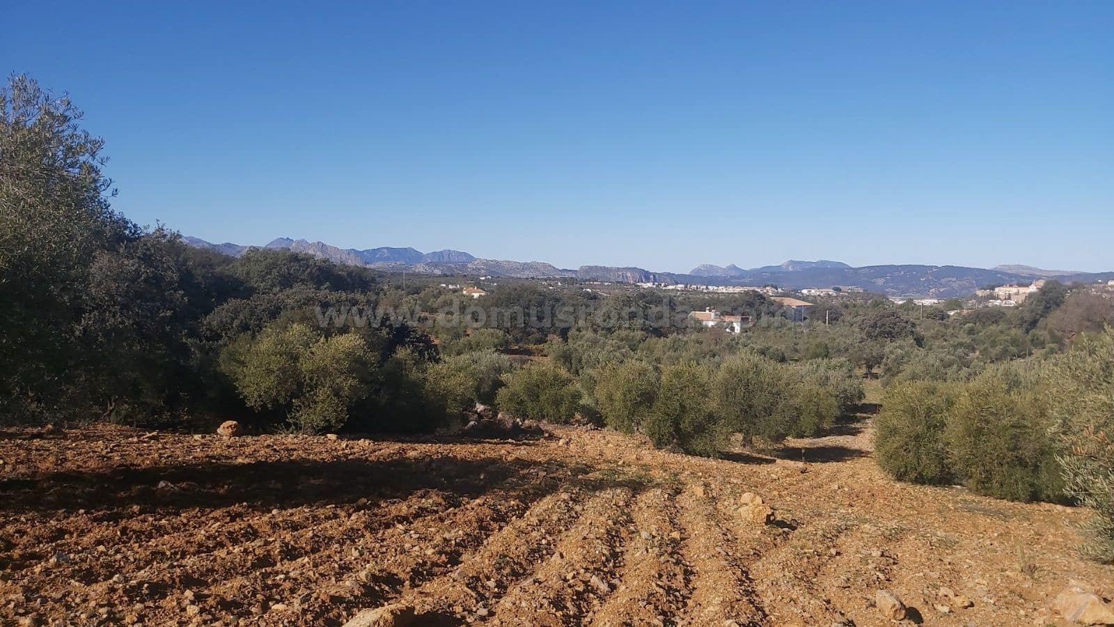 Ubebygd land til salgs i Ronda - € 48 000 (Ref: 9378443)