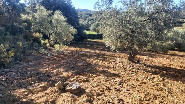 Ubebygd land til salgs i Ronda - € 48 000 (Ref: 9378443)