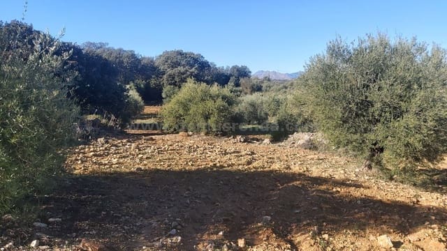 Ubebygd land til salgs i Ronda - € 48 000 (Ref: 9378443)
