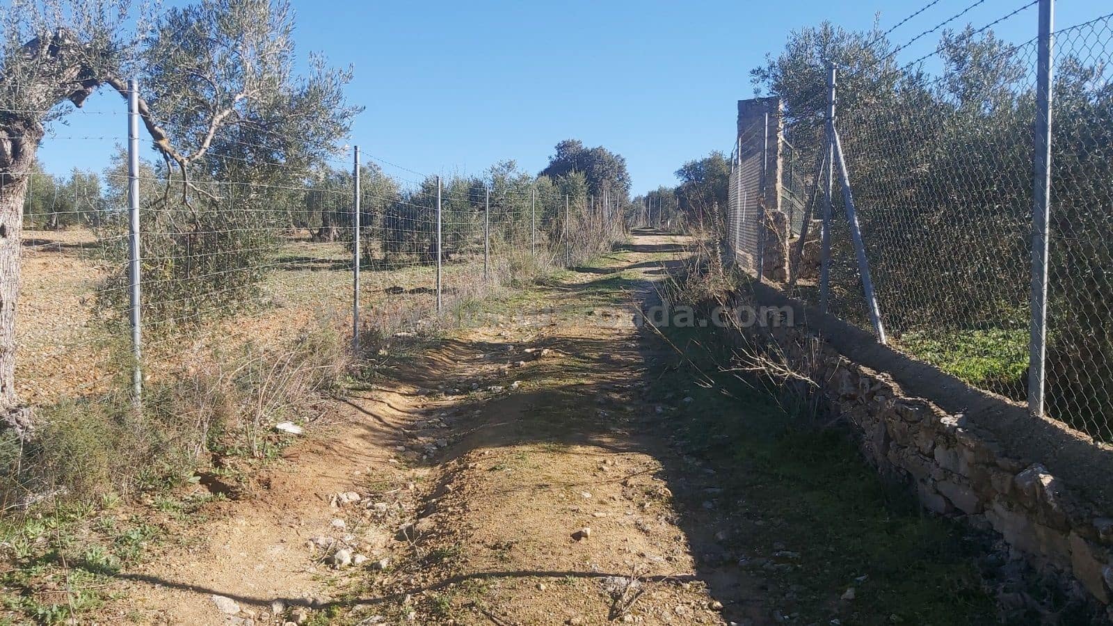 Ubebygd land til salgs i Ronda - € 48 000 (Ref: 9378443)