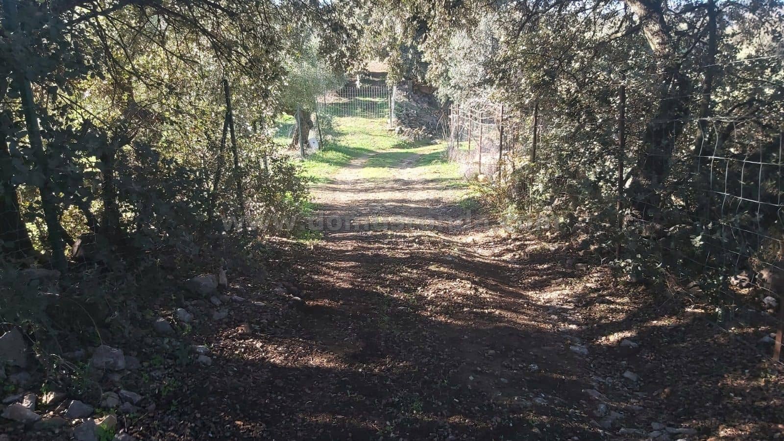 Ubebygd land til salgs i Ronda - € 48 000 (Ref: 9378443)