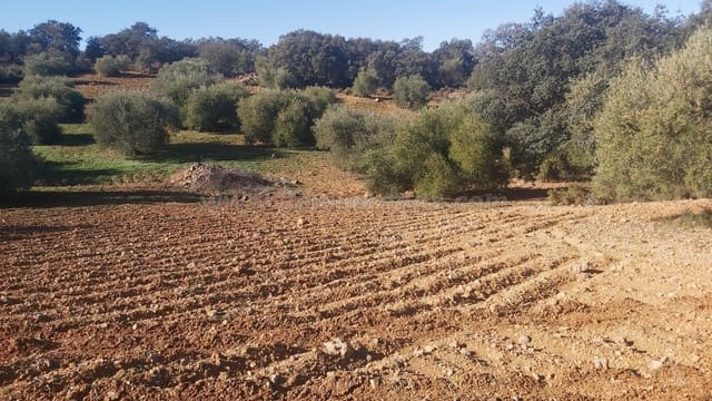Ubebygd land til salgs i Ronda - € 48 000 (Ref: 9378443)
