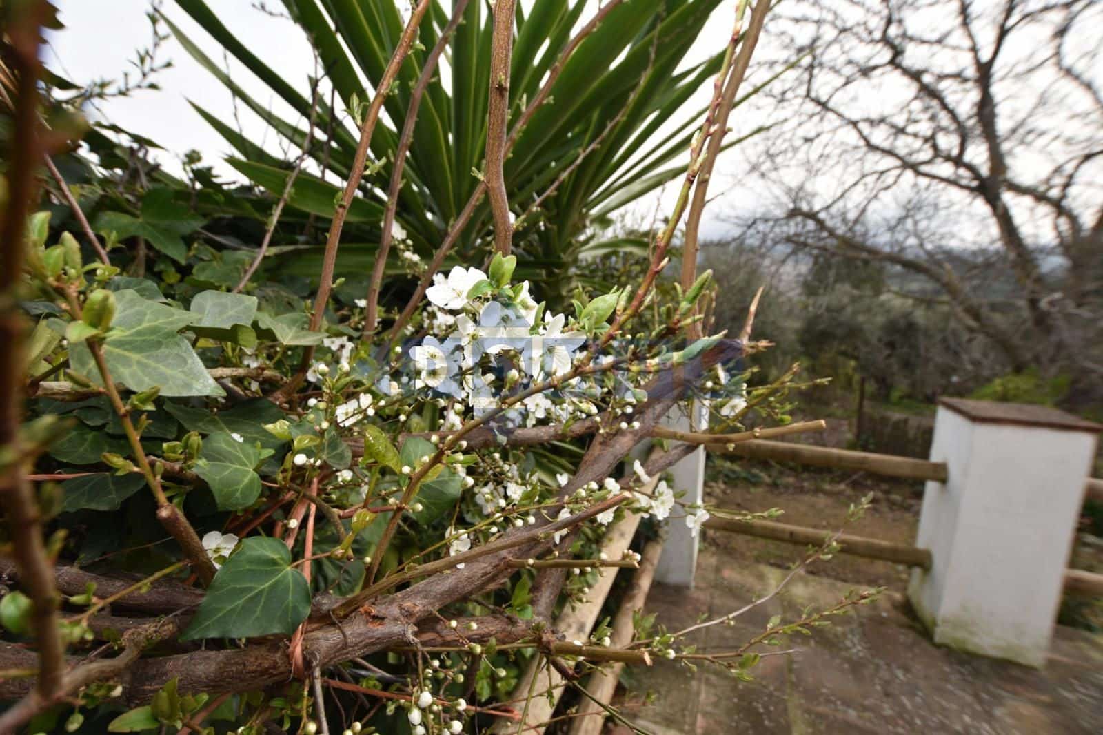 Villa/Maison de 2 chambres à louer à Ronda avec piscine garage - 1 100 € (Ref: 9645474)