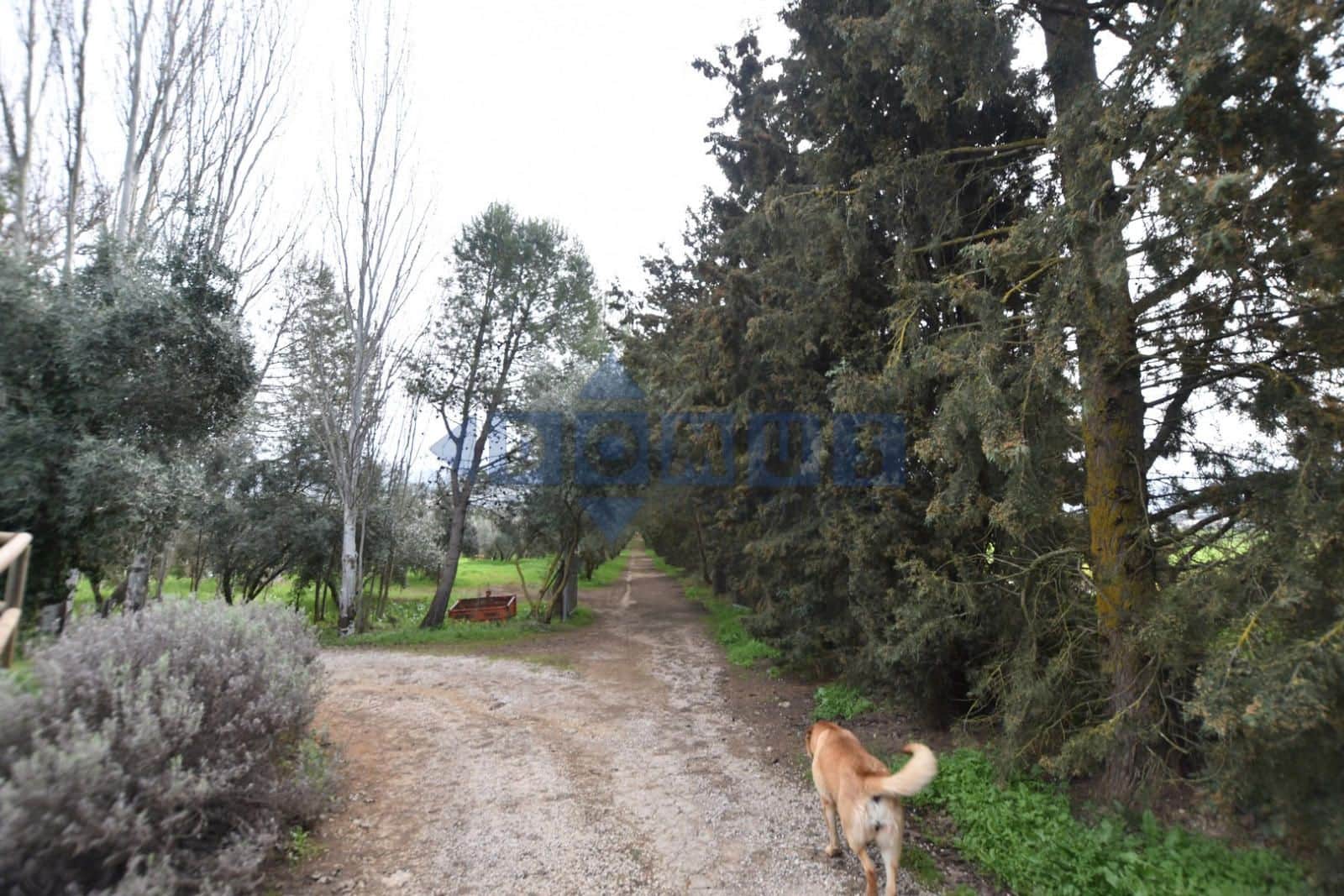 Villa/Maison de 2 chambres à louer à Ronda avec piscine garage - 1 100 € (Ref: 9645474)