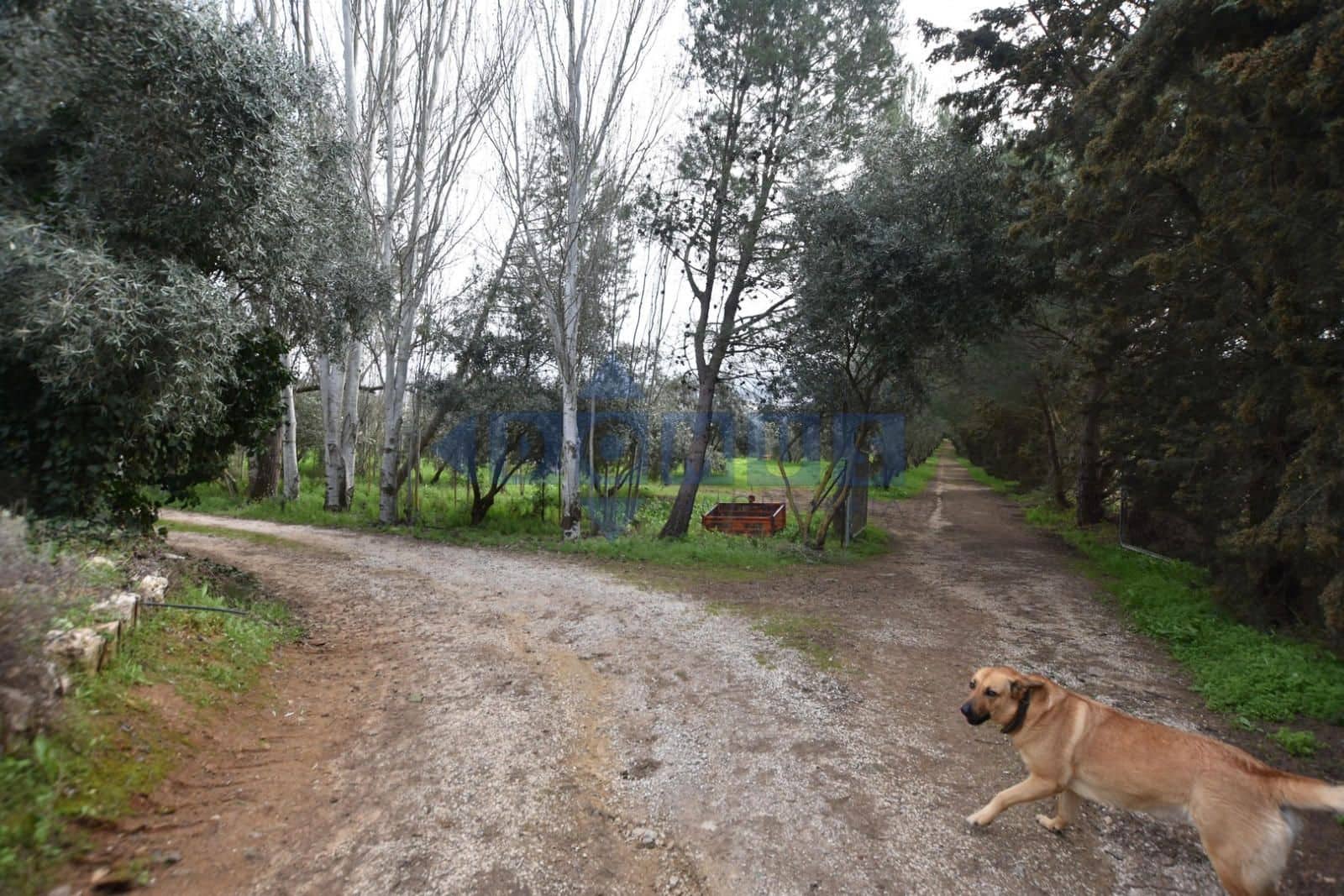 Villa/Maison de 2 chambres à louer à Ronda avec piscine garage - 1 100 € (Ref: 9645474)