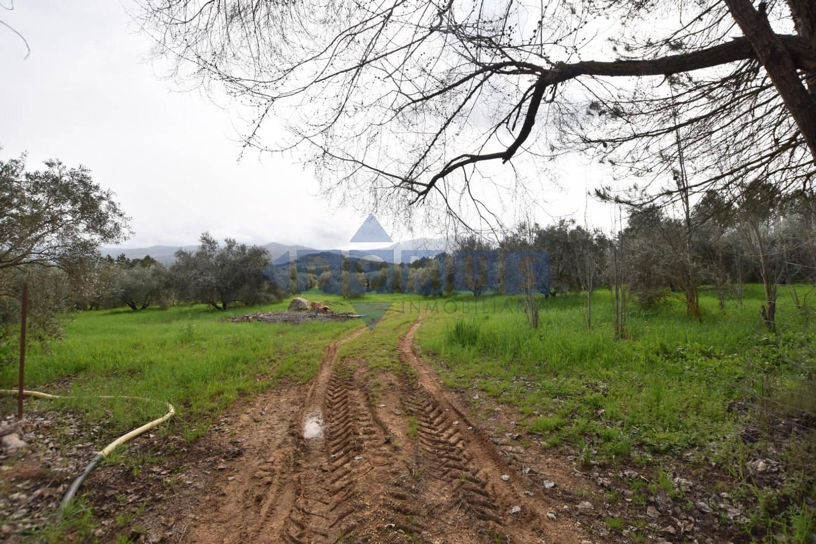 Villa/Maison de 2 chambres à louer à Ronda avec piscine garage - 1 100 € (Ref: 9645474)