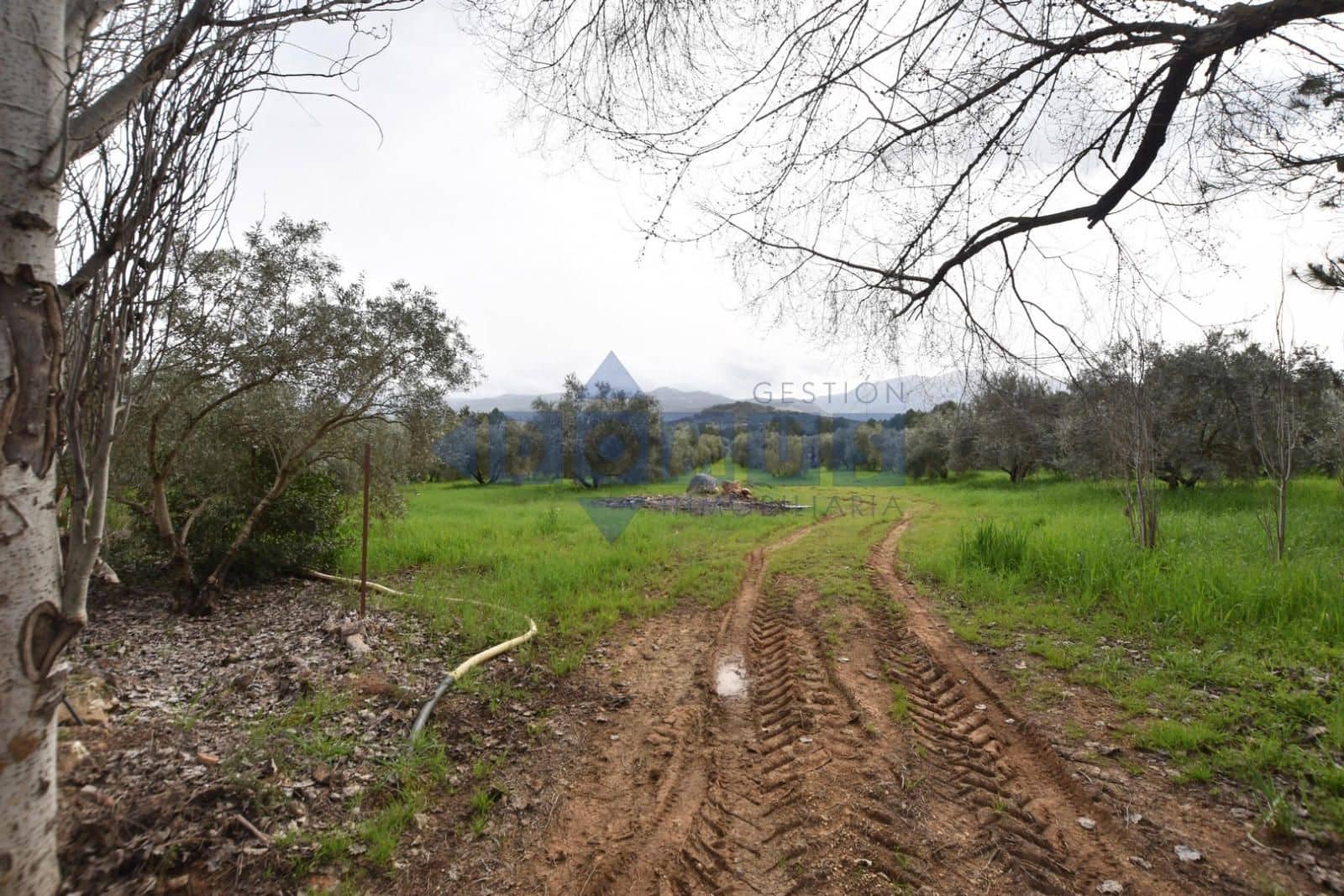 Villa/Maison de 2 chambres à louer à Ronda avec piscine garage - 1 100 € (Ref: 9645474)