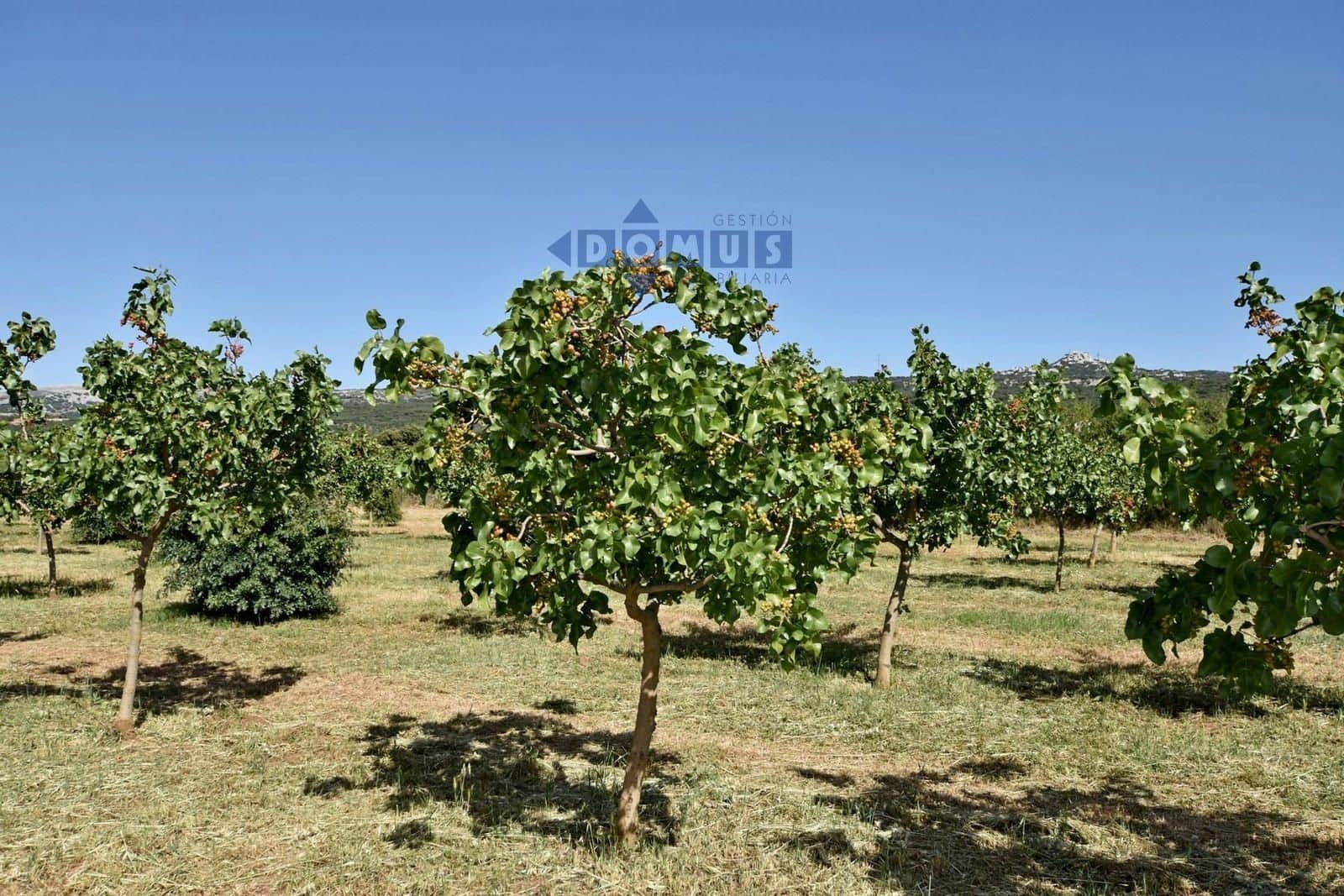 16 sovrum Finca/Hus på landet till salu i Ronda med garage - 3 000 000 € (Ref: 9883550)