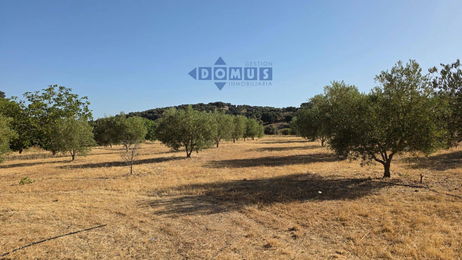 Grond te koop in Ronda - € 85.000 (Ref: 9958815)