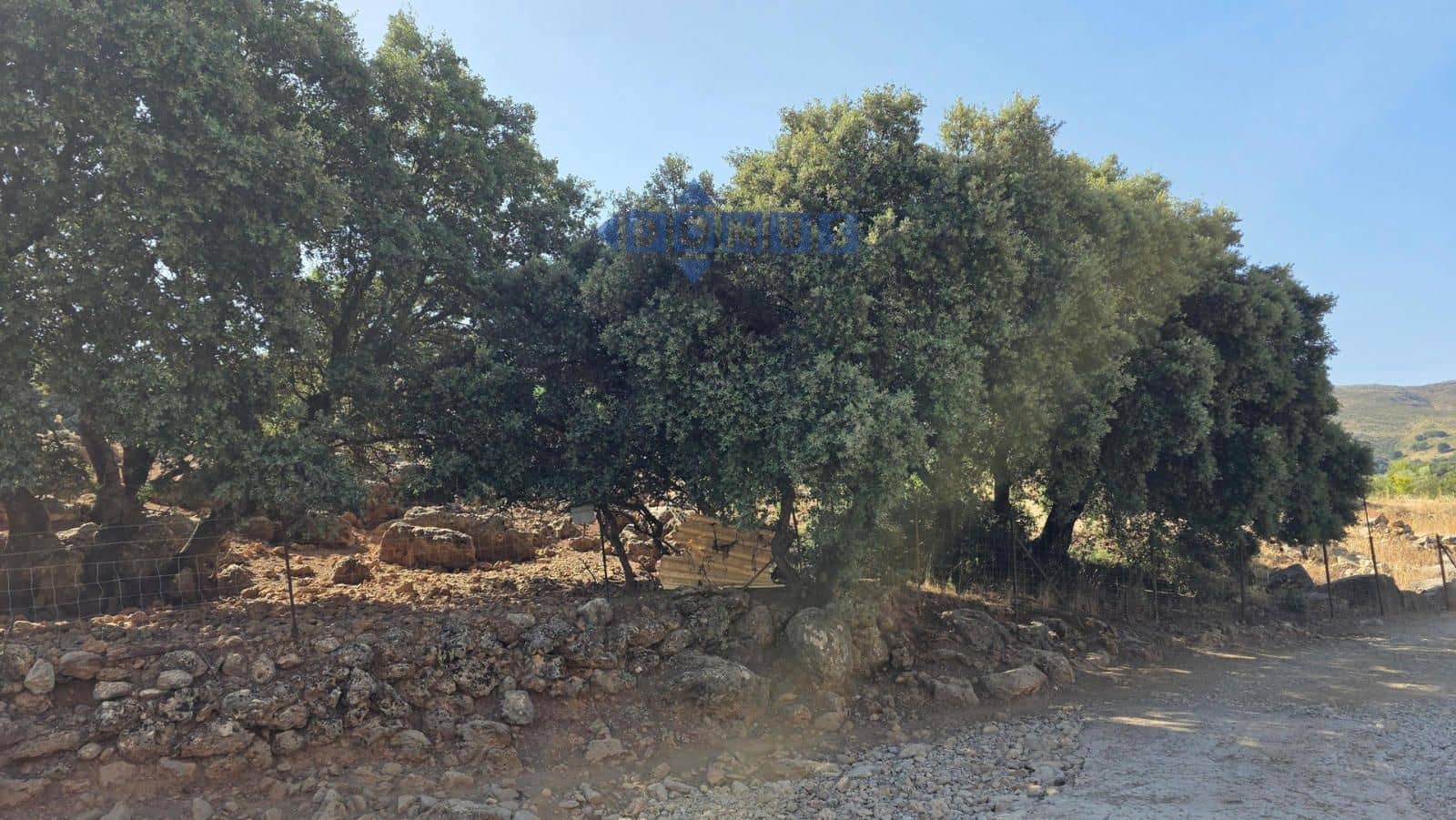 Grond te koop in Ronda - € 85.000 (Ref: 9958815)