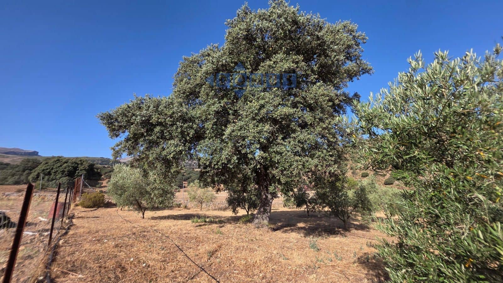 Grond te koop in Ronda - € 85.000 (Ref: 9958815)