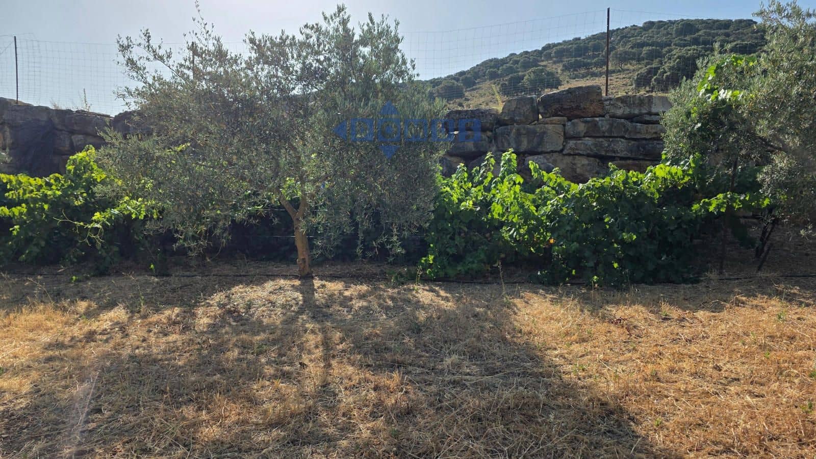 Grond te koop in Ronda - € 85.000 (Ref: 9958815)