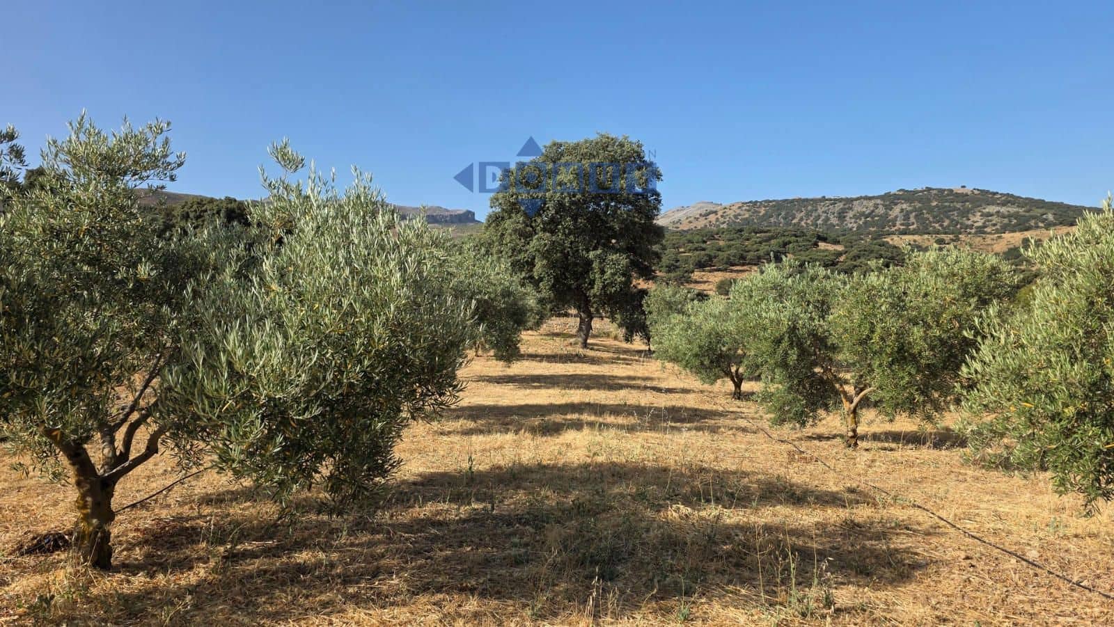 Grond te koop in Ronda - € 85.000 (Ref: 9958815)