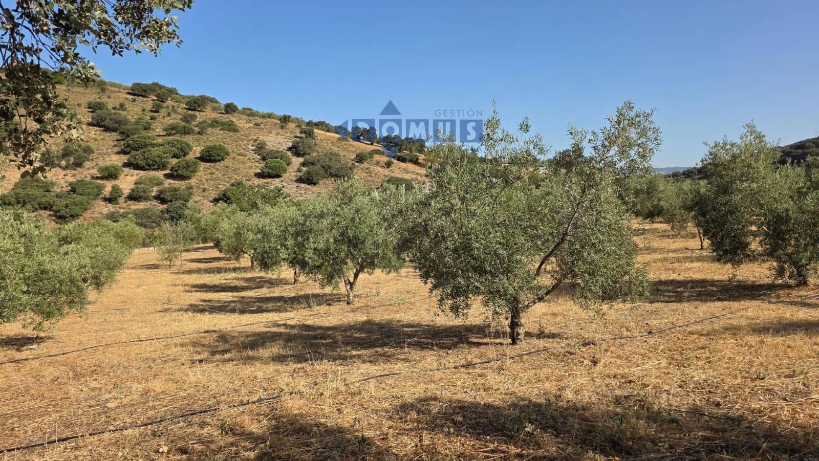 Grond te koop in Ronda - € 85.000 (Ref: 9958815)